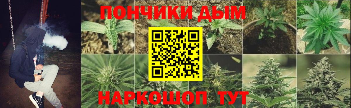 Марихуана THC 21%  Марихуана Bruce Banner  Аша  Вход с VPN 